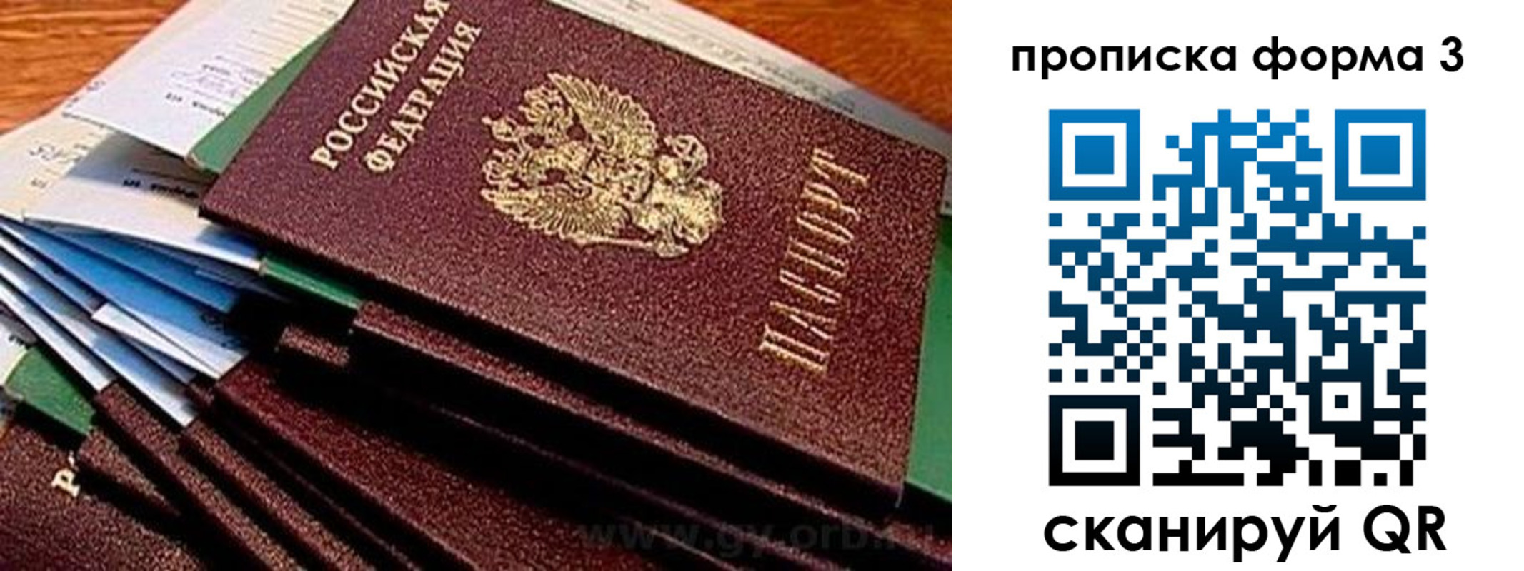 прописка иностранных граждан в Мурманске